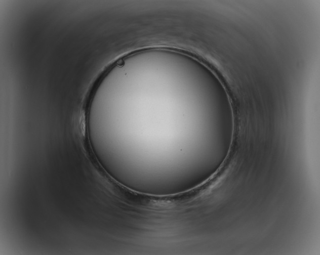 X0000089341509200706290951