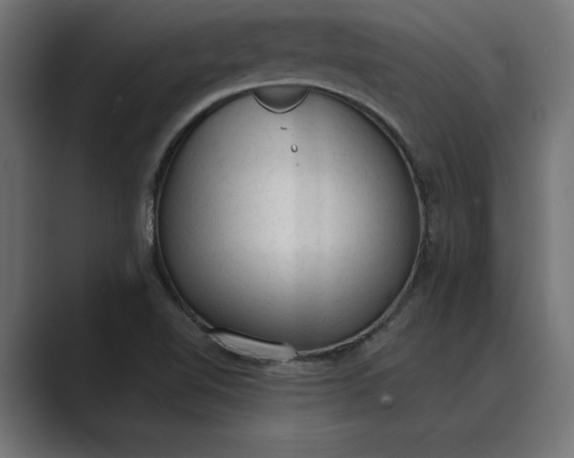X0000089341510200706290951