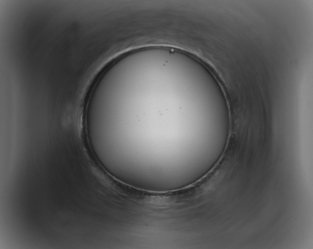 X0000089341511200706290951