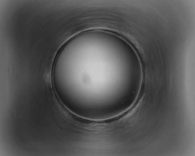X0000089341513200706290951