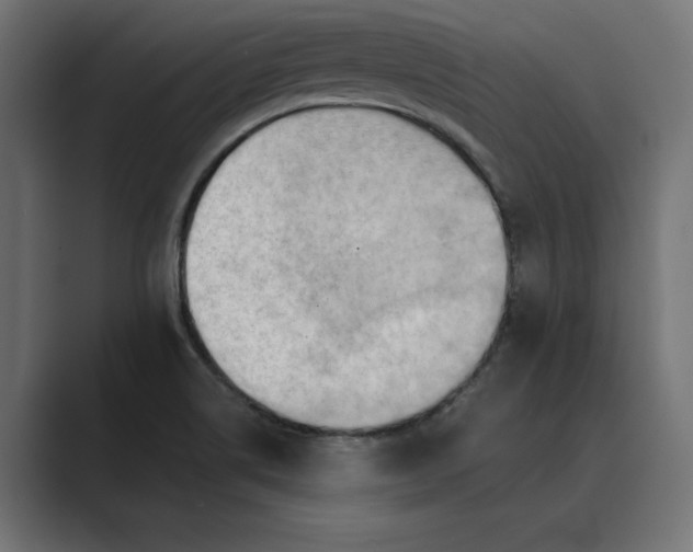 X0000089341514200706290951