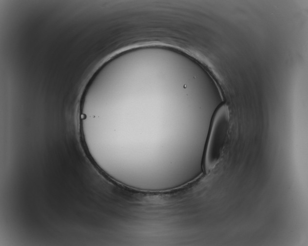 X0000089341516200706290951