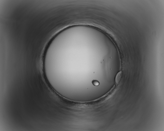 X0000089341517200706290951