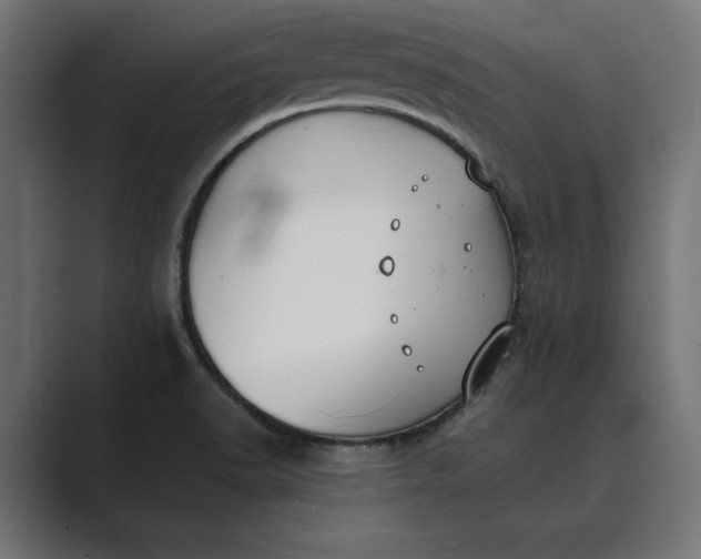 X0000089341518200706290951