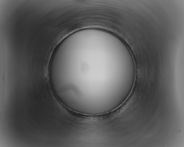 X0000089341521200706290951