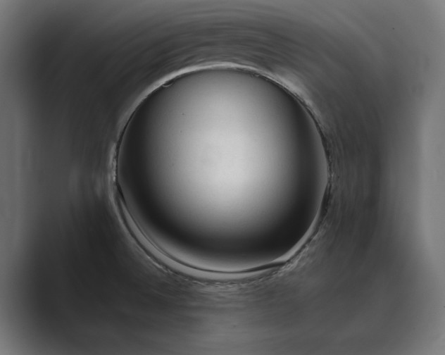 X0000089341524200706290951