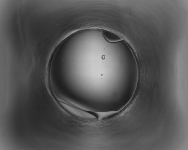 X0000089341525200706290951