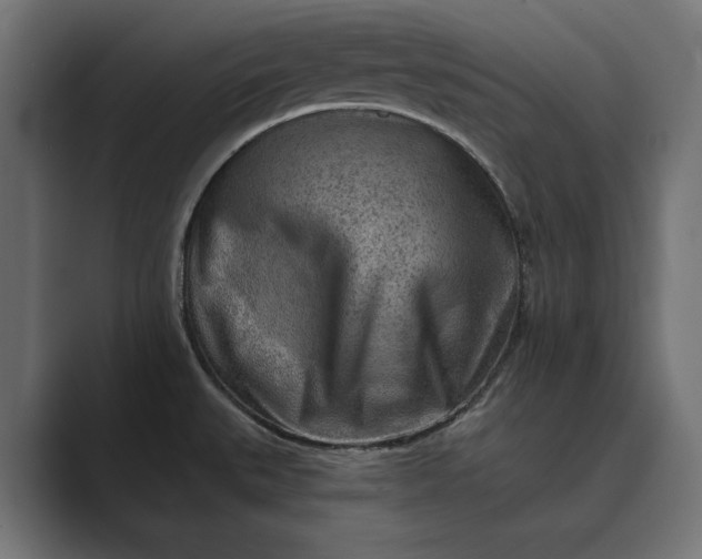 X0000089341527200706290951