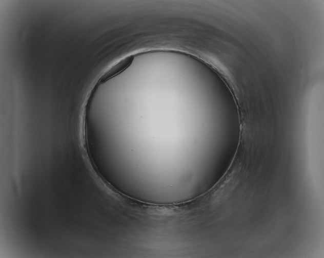 X0000089341528200706290951