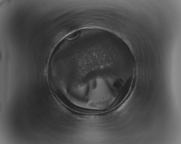 X0000089341529200706290951