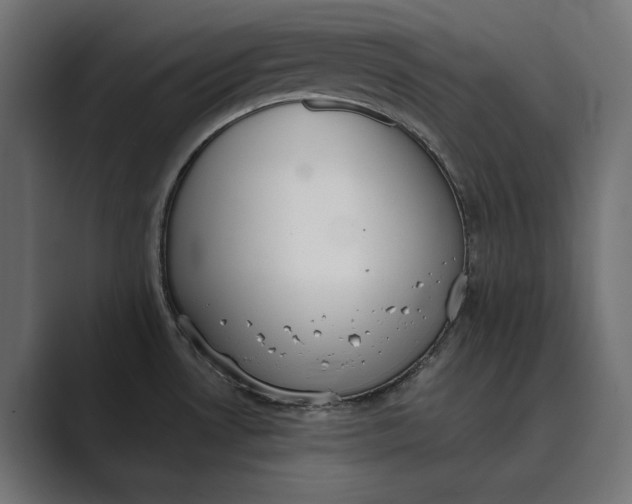 X0000089341530200706290951