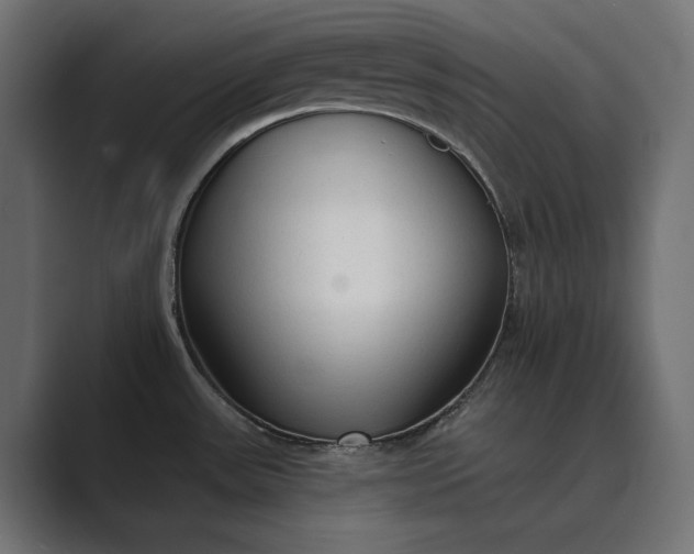 X0000089341531200706290951