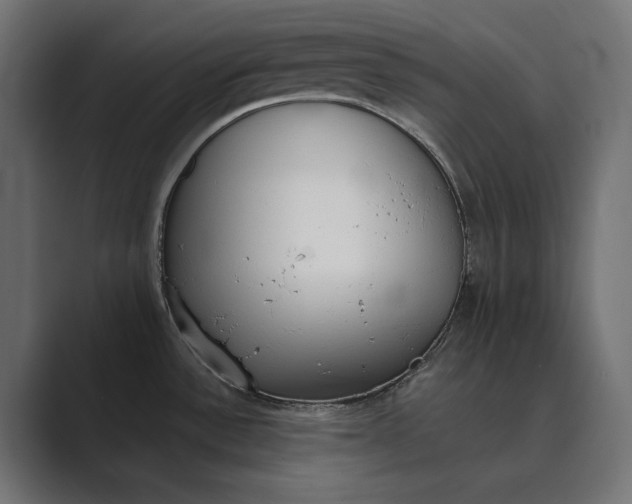 X0000089341532200706290951