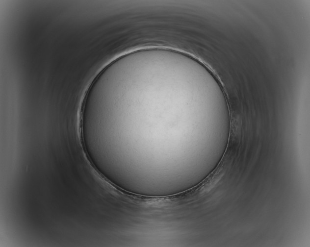 X0000089341535200706290951