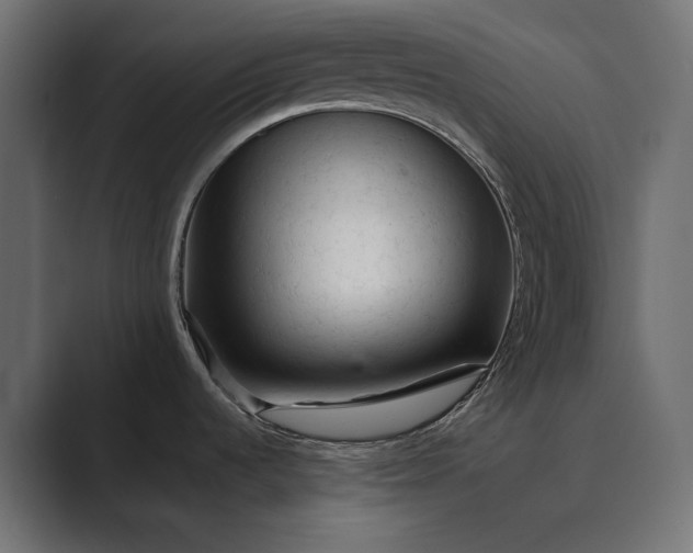 X0000089341536200706290951