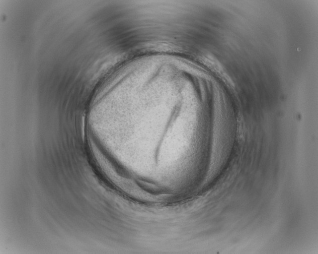 X0000089340014200707061011