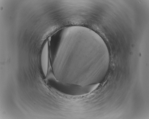 X0000089340019200707061011