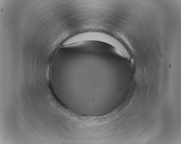 X0000089340023200707061011
