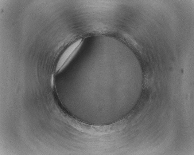 X0000089340027200707061011