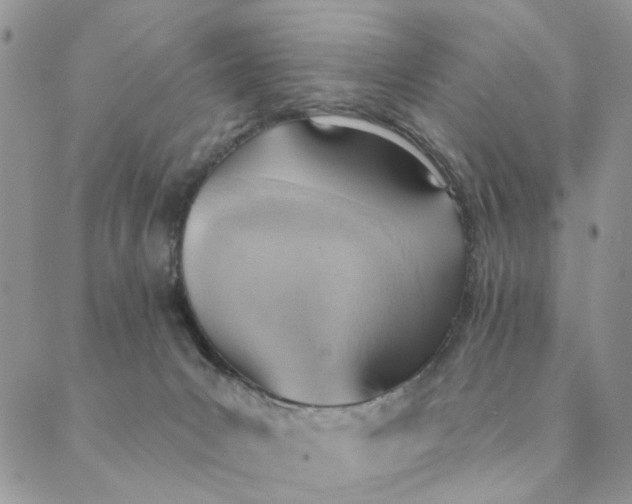 X0000089340031200707061011