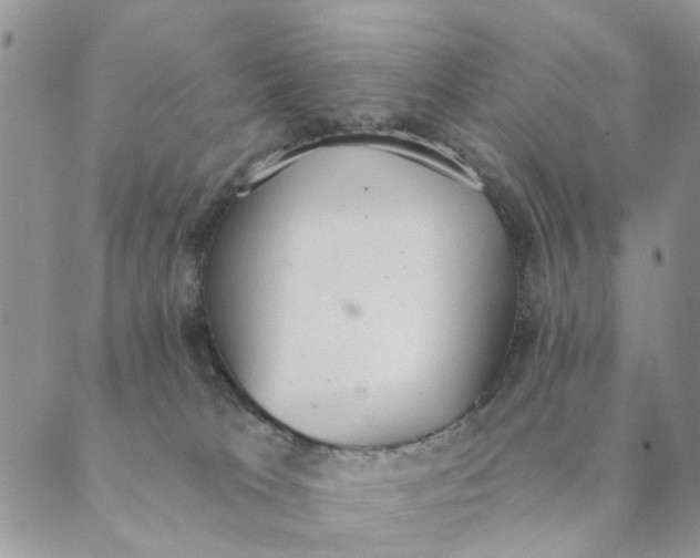 X0000089340037200707061011