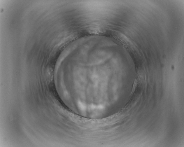 X0000089340043200707061010