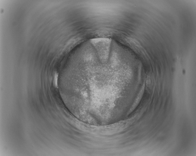X0000089340046200707061010