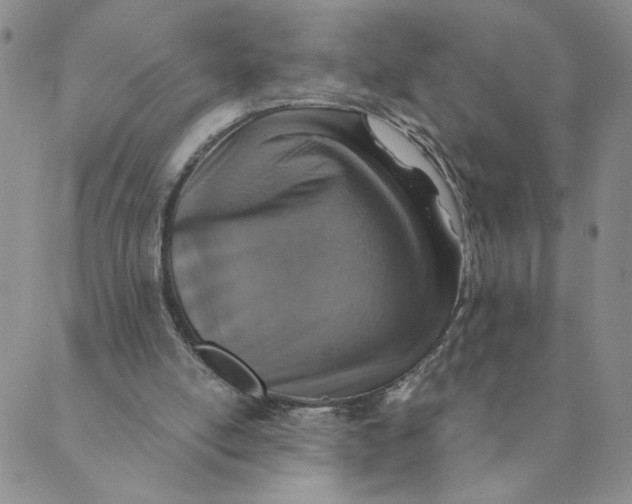 X0000089340054200707061010