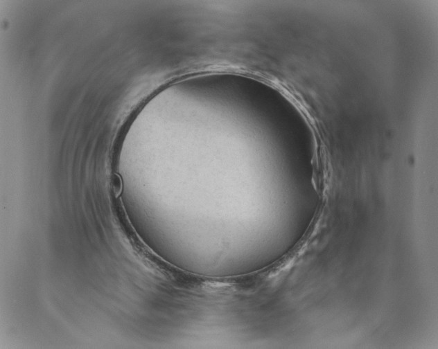 X0000089340055200707061010