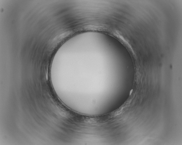 X0000089340062200707061010