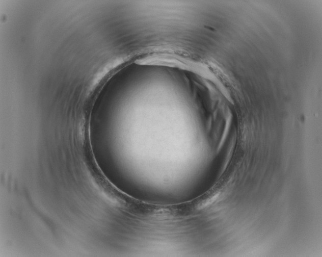 X0000089340064200707061010