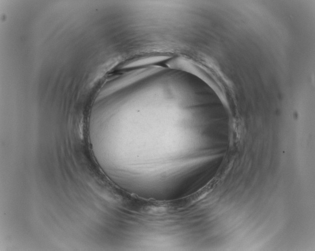 X0000089340068200707061010