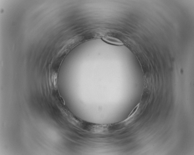 X0000089340094200707061010
