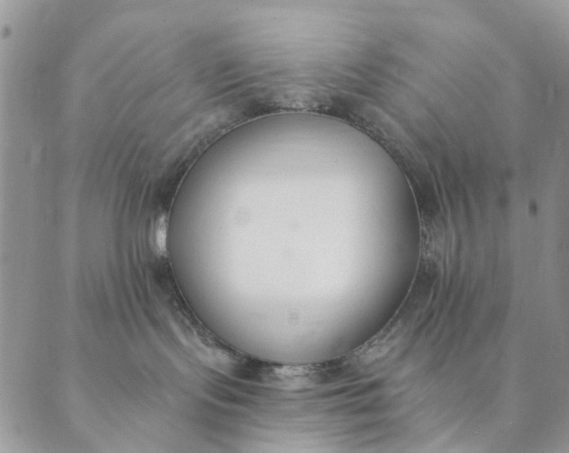 X0000089340095200707061010