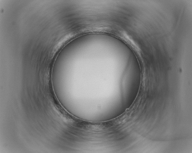 X0000089340107200707061009