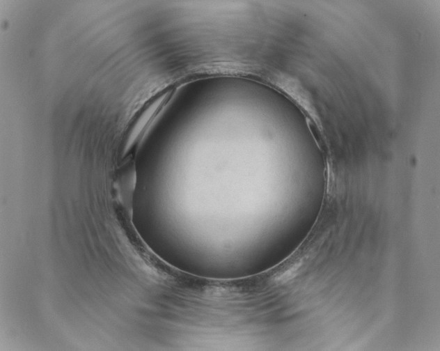 X0000089340109200707061009