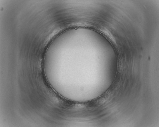 X0000089340111200707061009