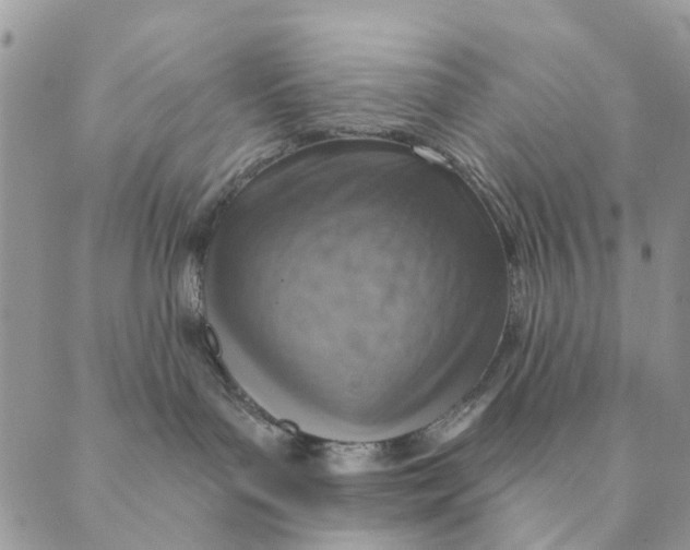 X0000089340143200707061009