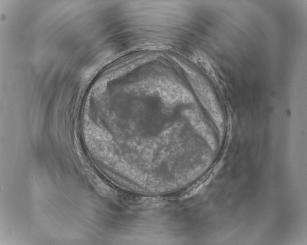 X0000089340145200707061008