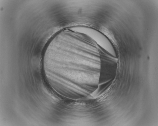 X0000089340156200707061008