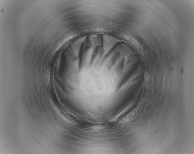 X0000089340158200707061008