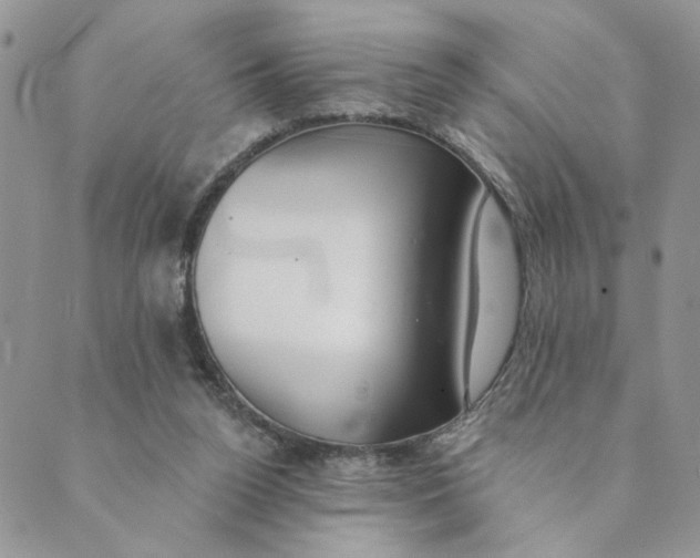 X0000089340160200707061008