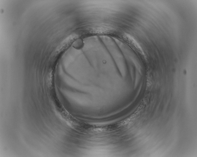 X0000089340163200707061008