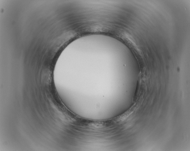 X0000089340164200707061008
