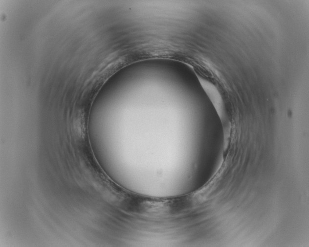 X0000089340170200707061008