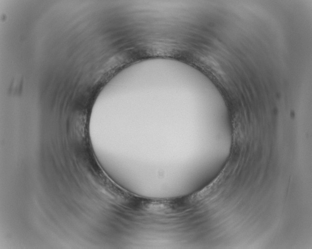 X0000089340171200707061008