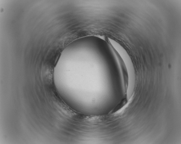 X0000089340186200707061009