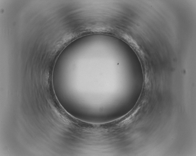 X0000089340201200707061008