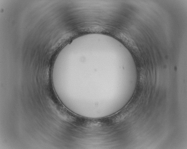 X0000089340206200707061008