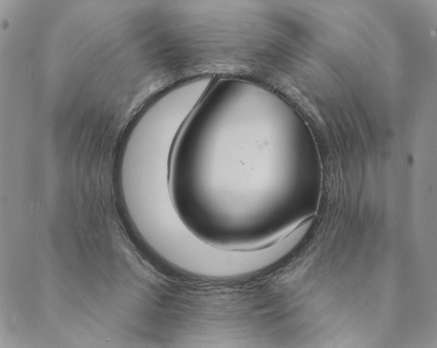 X0000089340207200707061008